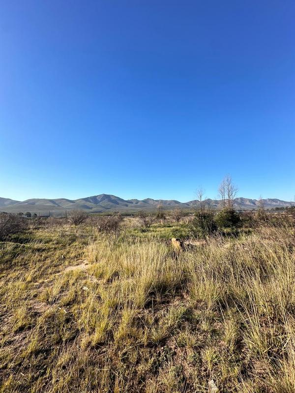 0 Bedroom Property for Sale in Kareedouw Eastern Cape